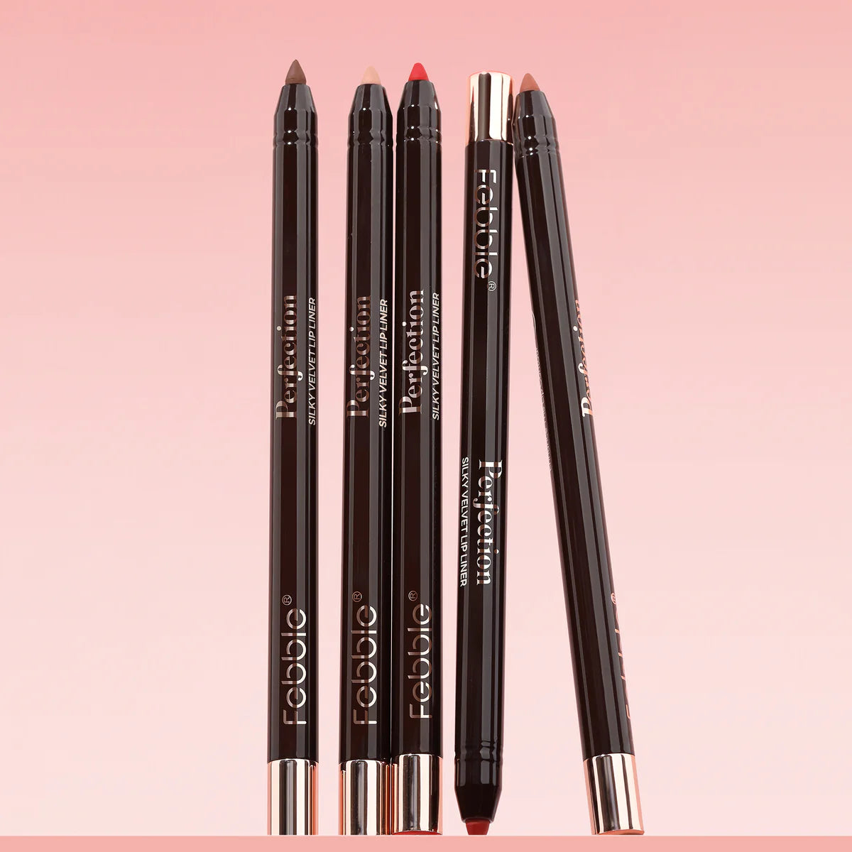 Contorno de Labios Perfection Febble