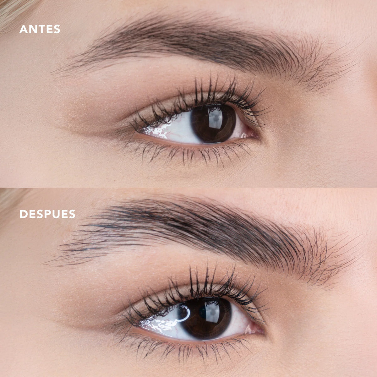 Cera de Cejas It Girl Ruby Rose